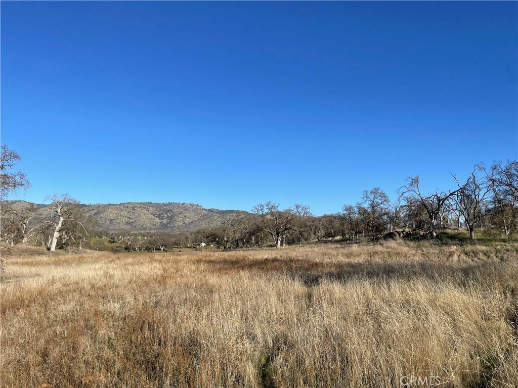 Catheys Valley, CA 95306,5 Tinkers Penny LN