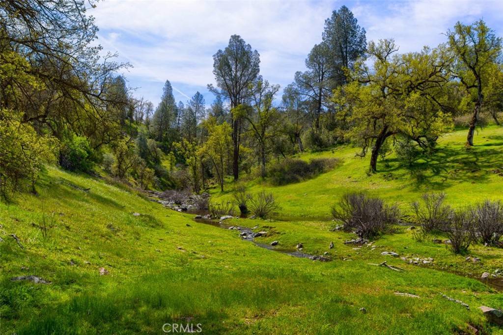 Mariposa, CA 95338,3729 Ben Hur RD