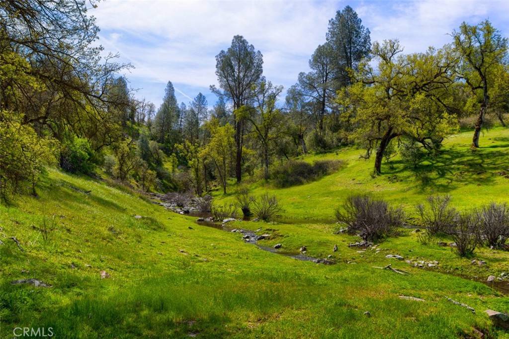 Mariposa, CA 95338,3729 Ben Hur RD