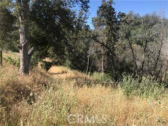Mariposa, CA 95338,4521 Alamo Creek RD