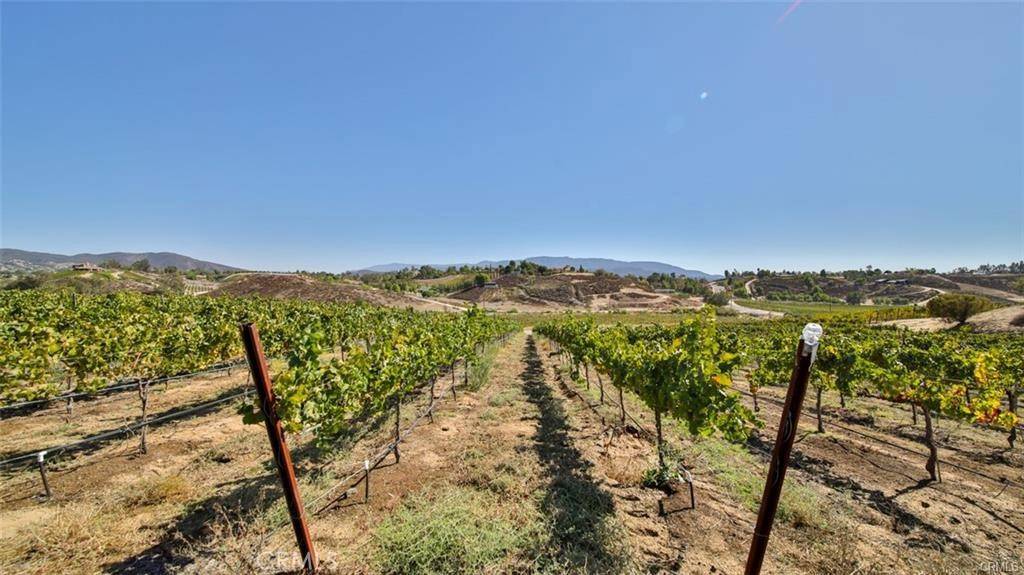 Temecula, CA 92592,0 Valle Toscana Ct