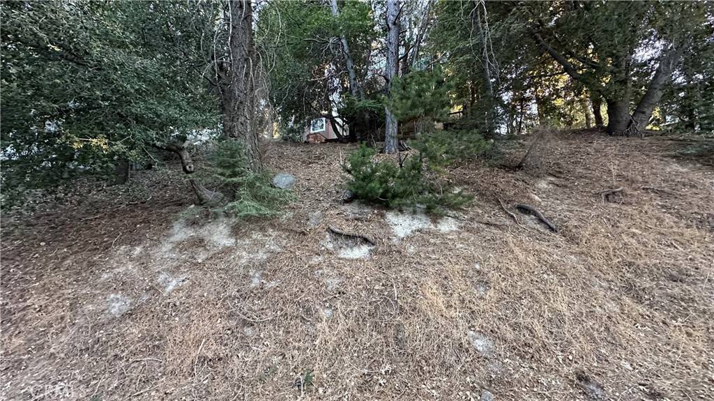 Twin Peaks, CA 92391,0 Mid LN