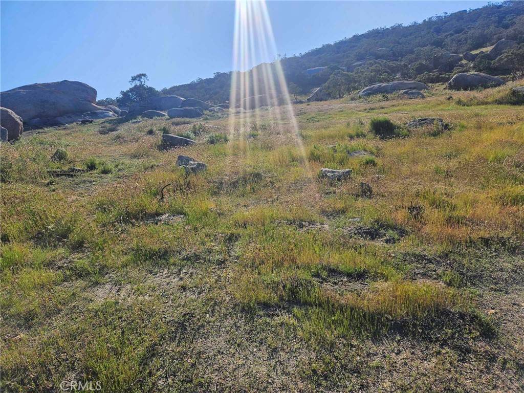 Aguanga, CA 92536,0 Saddleback