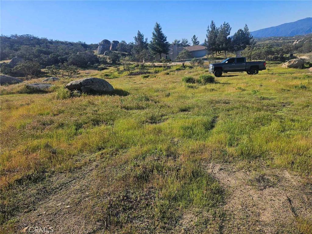 Aguanga, CA 92536,0 Saddleback