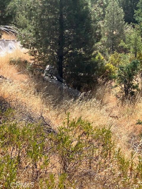 Bella Vista, CA 96008,0 Backbone RD