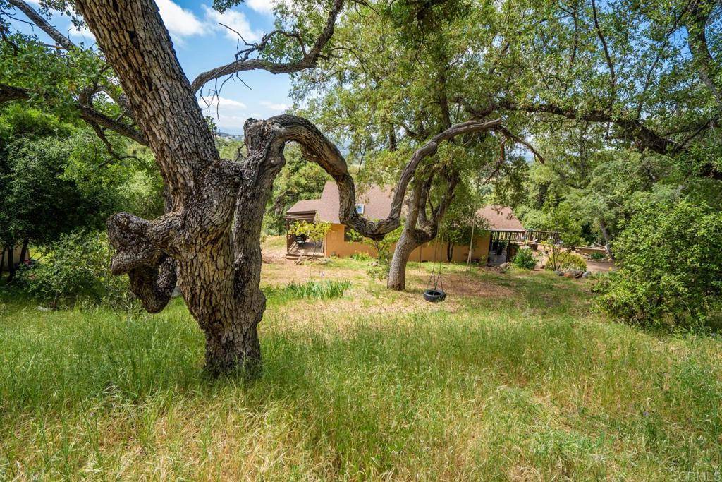 Santa Ysabel, CA 92070,25235 Mesa Grande Road