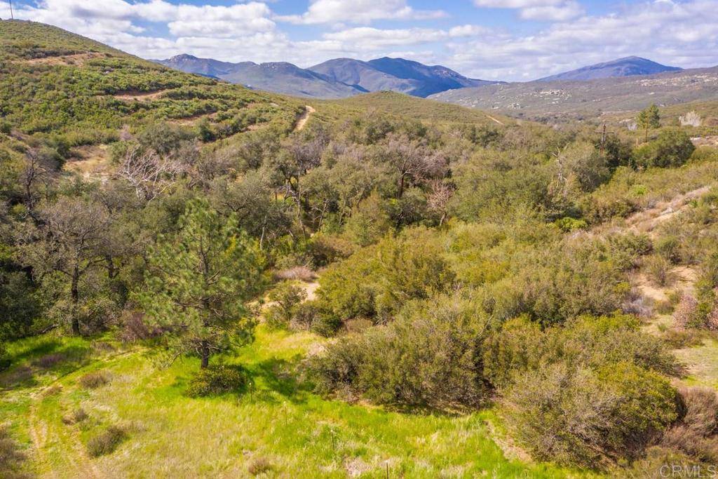 Descanso, CA 91916,12354 Boulder Creek Road