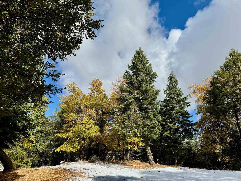 Palomar Mountain, CA 92060,10 Acres Greenfield WAY