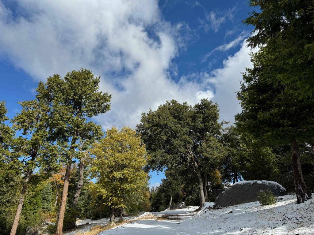 Palomar Mountain, CA 92060,10 Acres Greenfield WAY