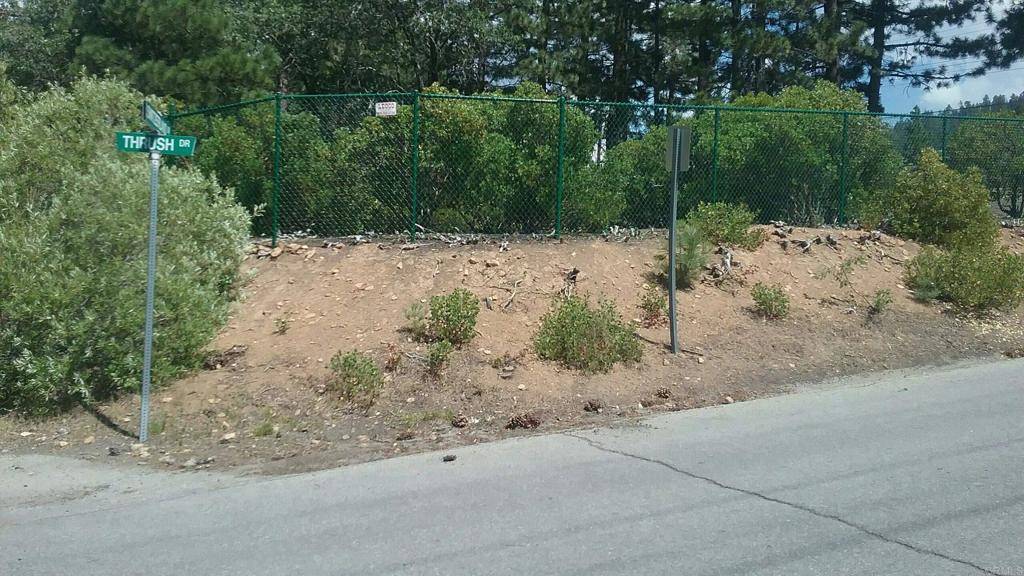 Big Bear, CA 92315,0 Switzerland Dr