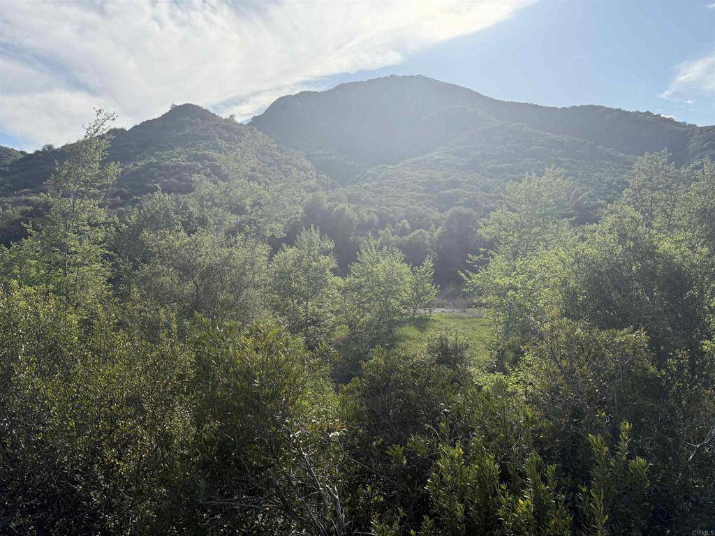 Fallbrook, CA 92028,0 De Luz RD