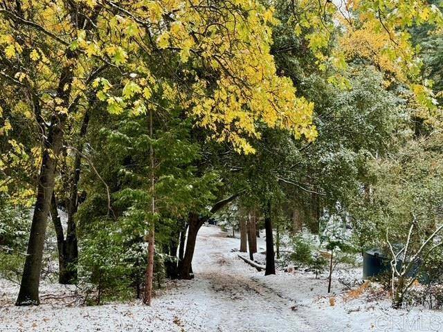 Palomar Mountain, CA 92060,22156 Crestline RD