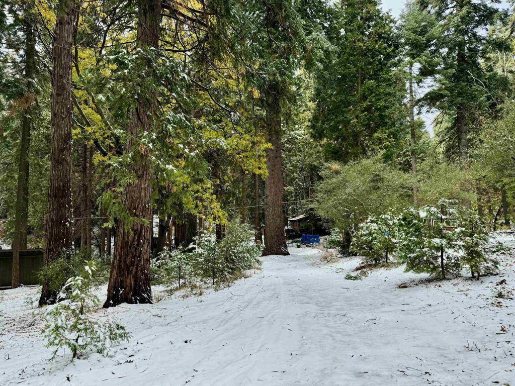 Palomar Mountain, CA 92060,22156 Crestline RD