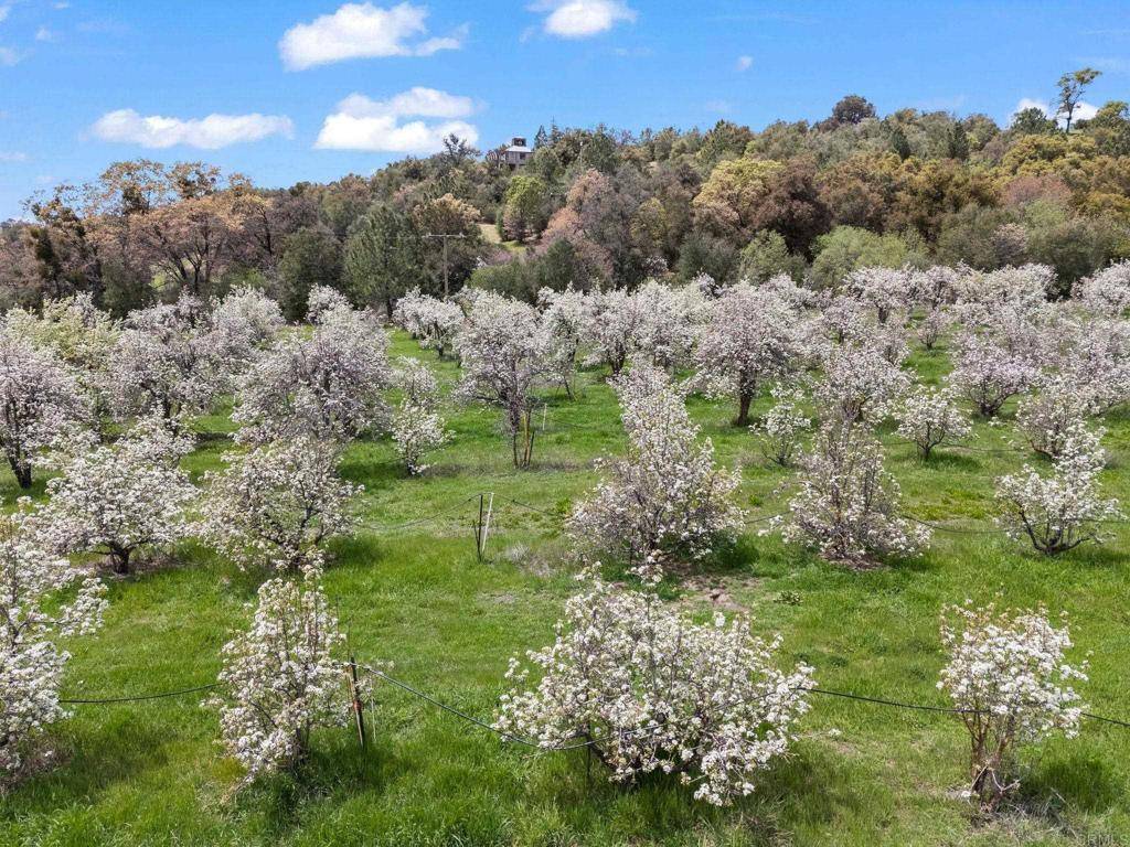 Julian, CA 92036,1020 Julian Orchards Drive