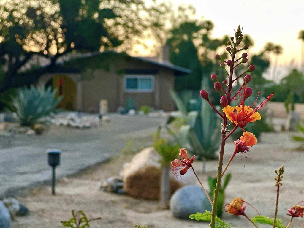 Borrego Springs, CA 92004,1471 De Anza DR