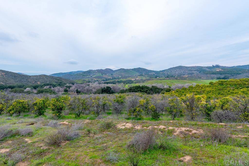 Valley Center, CA 92082,Lot 14 Patrick Way