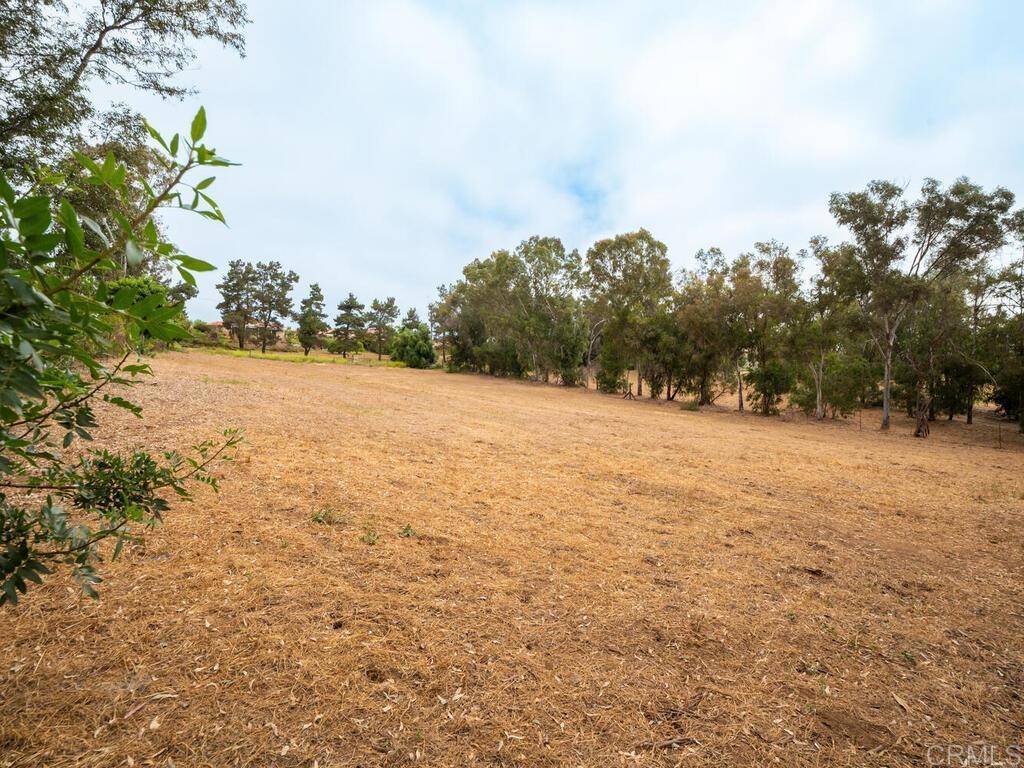 Fallbrook, CA 92028,0 McDonald