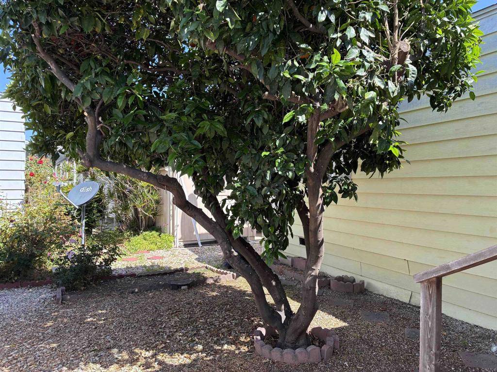 Vista, CA 92081,2130 Sunset DR #99