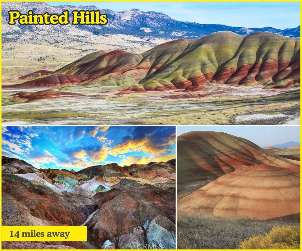 Whitewater, CA 92282,0 Oleander