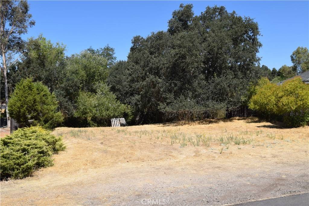 Paso Robles, CA 93446,4929 Pretty Doe LN