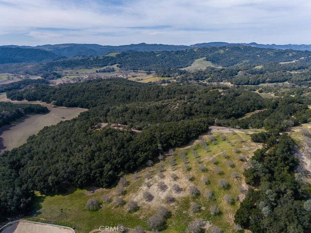 Paso Robles, CA 93446,0 Loose Horse LN