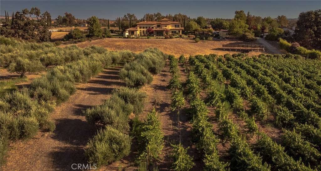 Paso Robles, CA 93446,4960 Glenhill LN