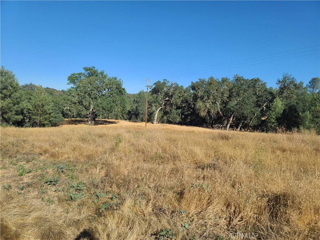 Paso Robles, CA 93446,52 Aluffo RD