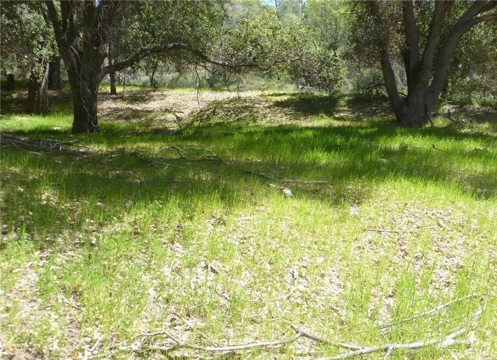 San Miguel, CA 93451,0 0 Vineyard Canyon Parcel 29