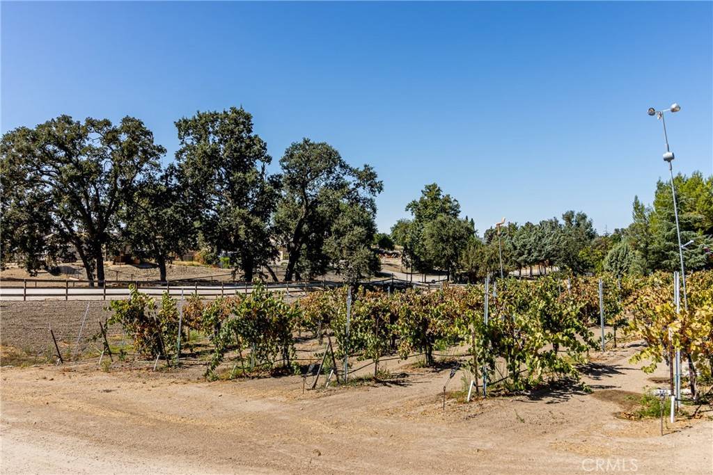 Paso Robles, CA 93446,6235 Burgandy LN