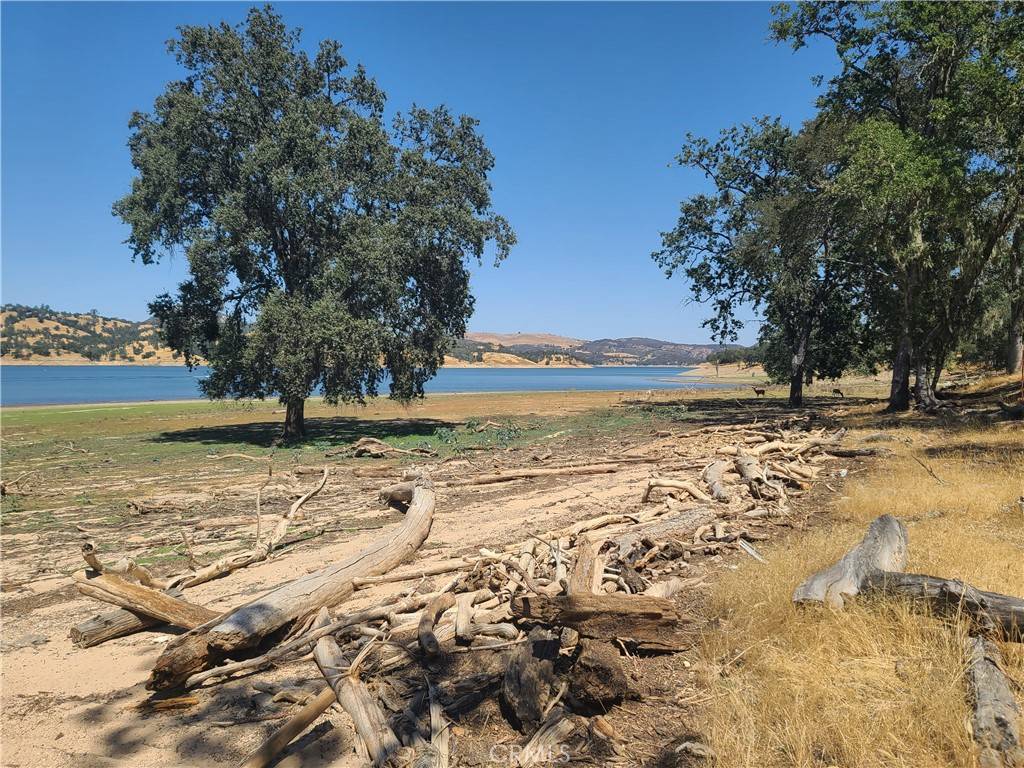 Paso Robles, CA 93446,10 Allen RD