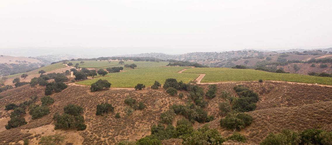 Los Olivos, CA 93441,6893 Foxen Canyon RD
