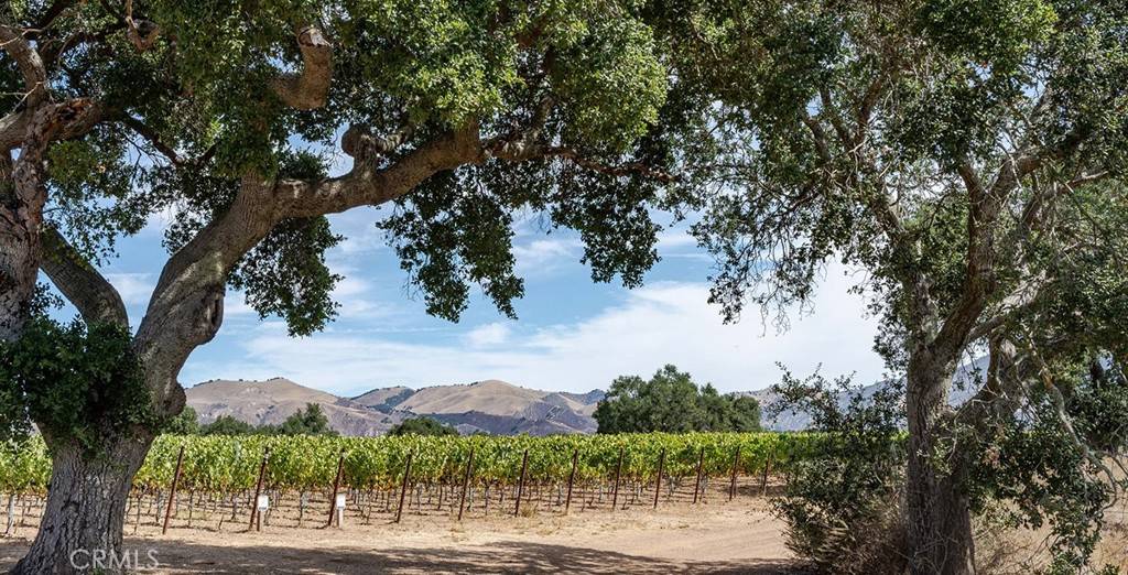 Los Olivos, CA 93441,6893 Foxen Canyon RD