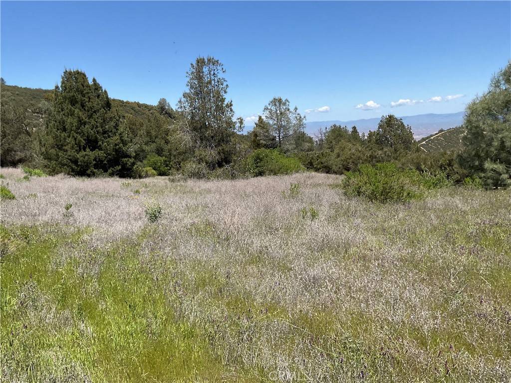 King City, CA 93930,49 Argyle
