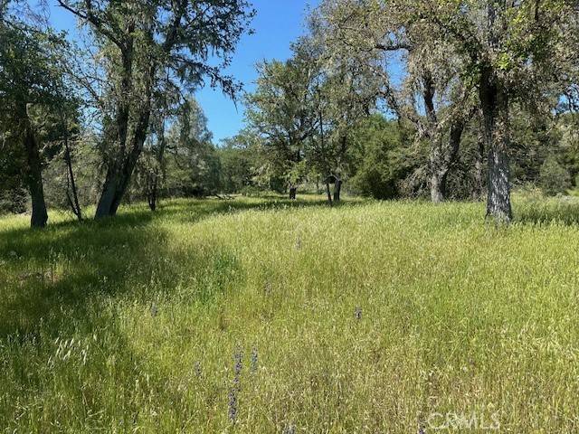 Bradley, CA 93426,74620 Copperhead RD