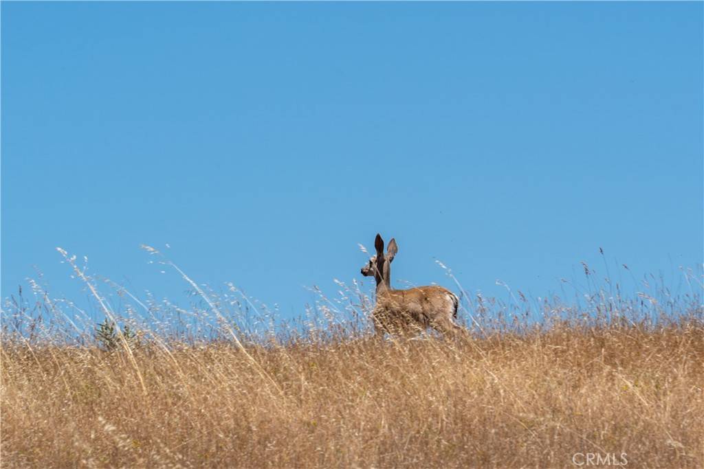 Paso Robles, CA 93446,4335 Highway 41 E