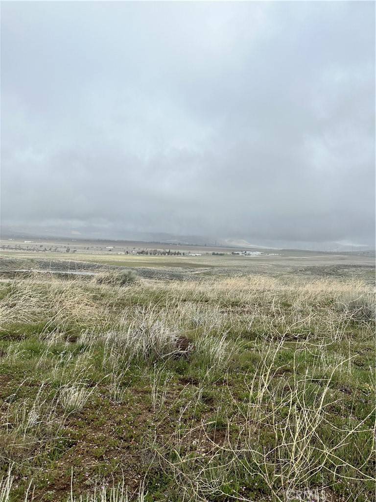 Tehachapi, CA 93561,0 Dotty CT