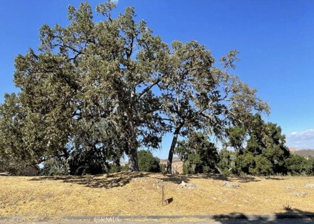 Paso Robles, CA 93446,9970 Bluegill DR