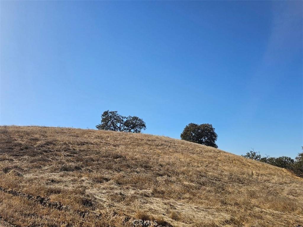 Paso Robles, CA 93446,2495 Maverick WAY