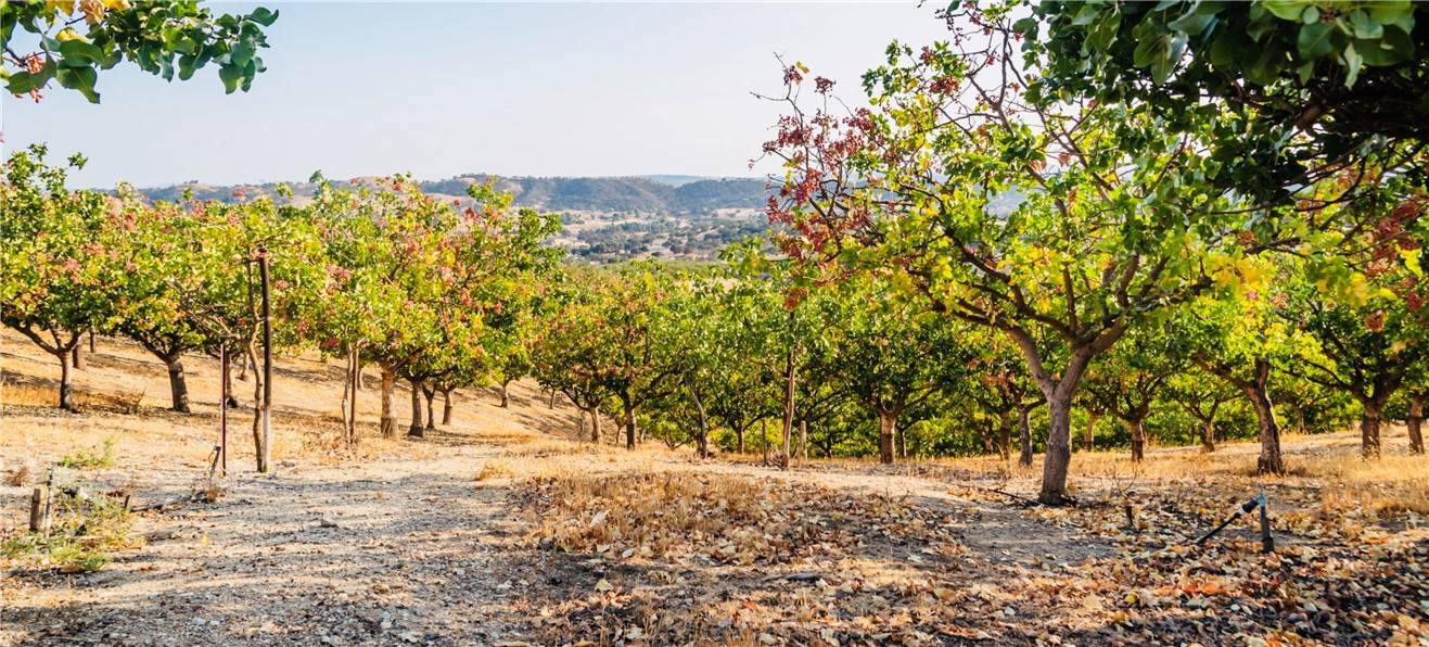 Paso Robles, CA 93446,6520 Long Hill PL