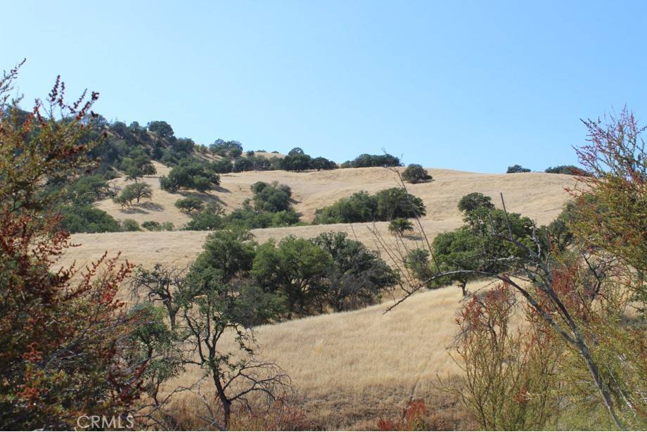 San Miguel, CA 93451,71902 Vineyard Canyon RD
