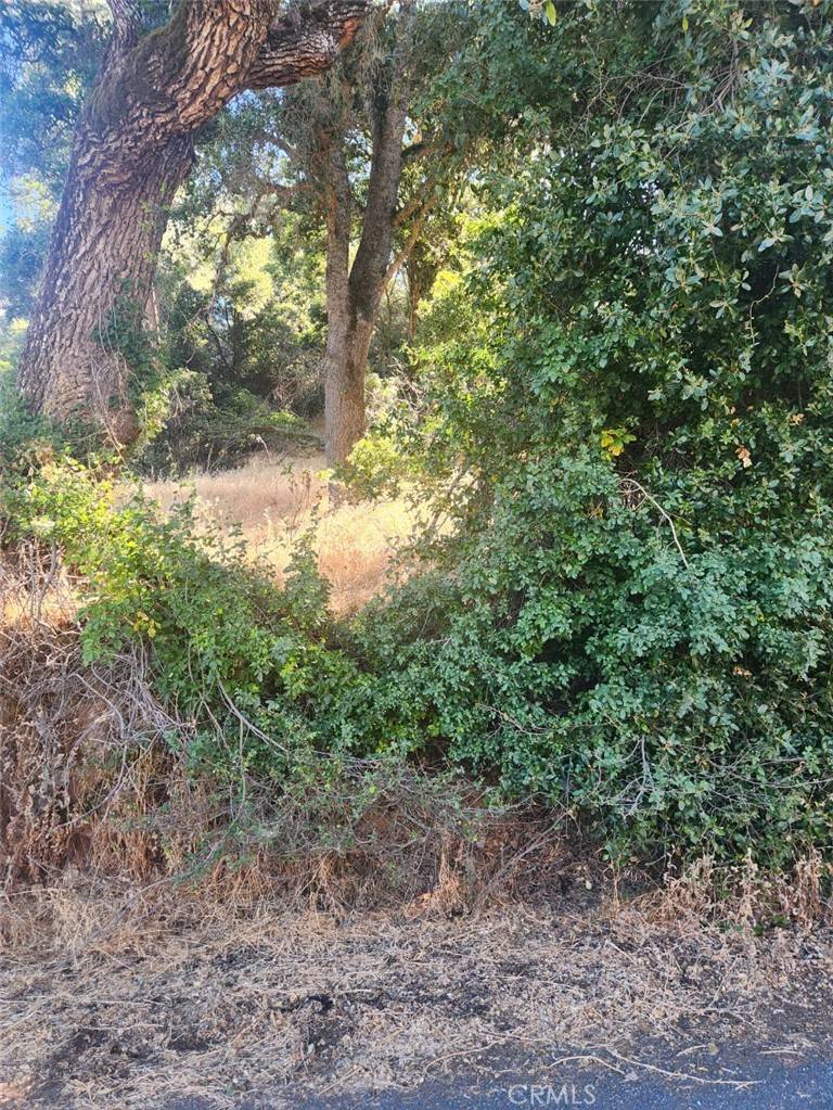 Lucerne, CA 95458,4010 Foothill Dr