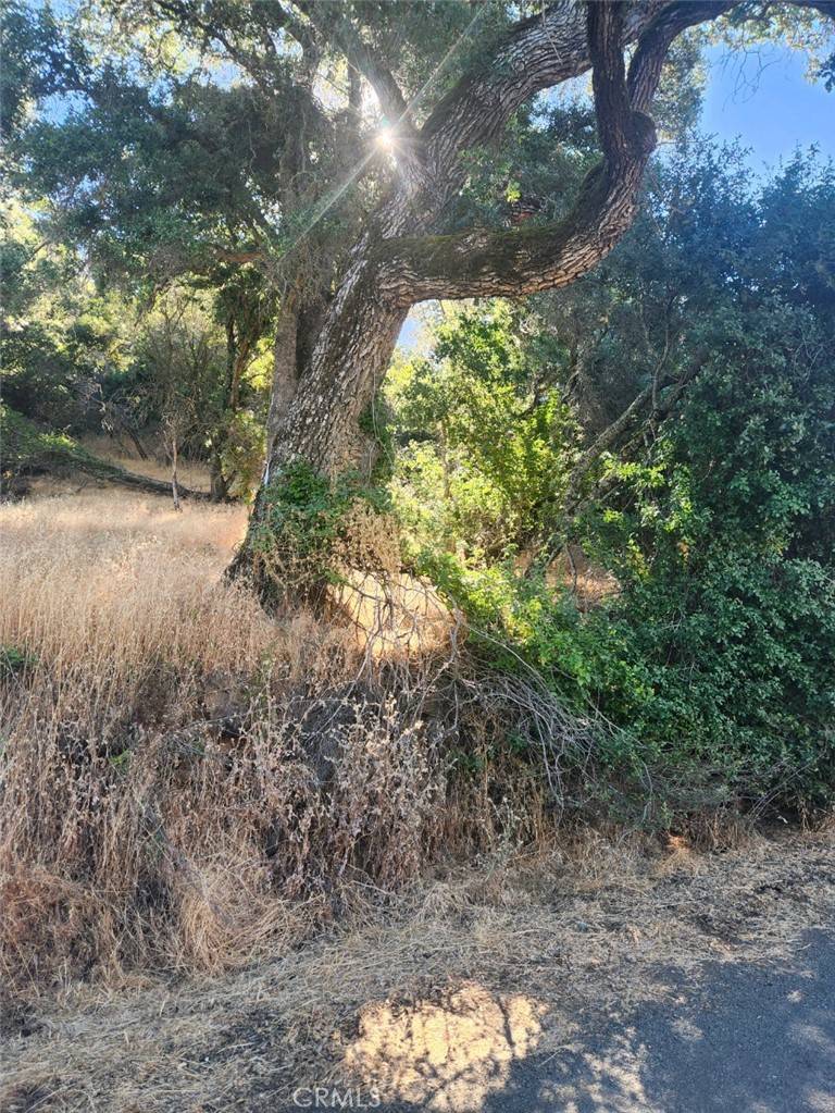 Lucerne, CA 95458,4010 Foothill Dr