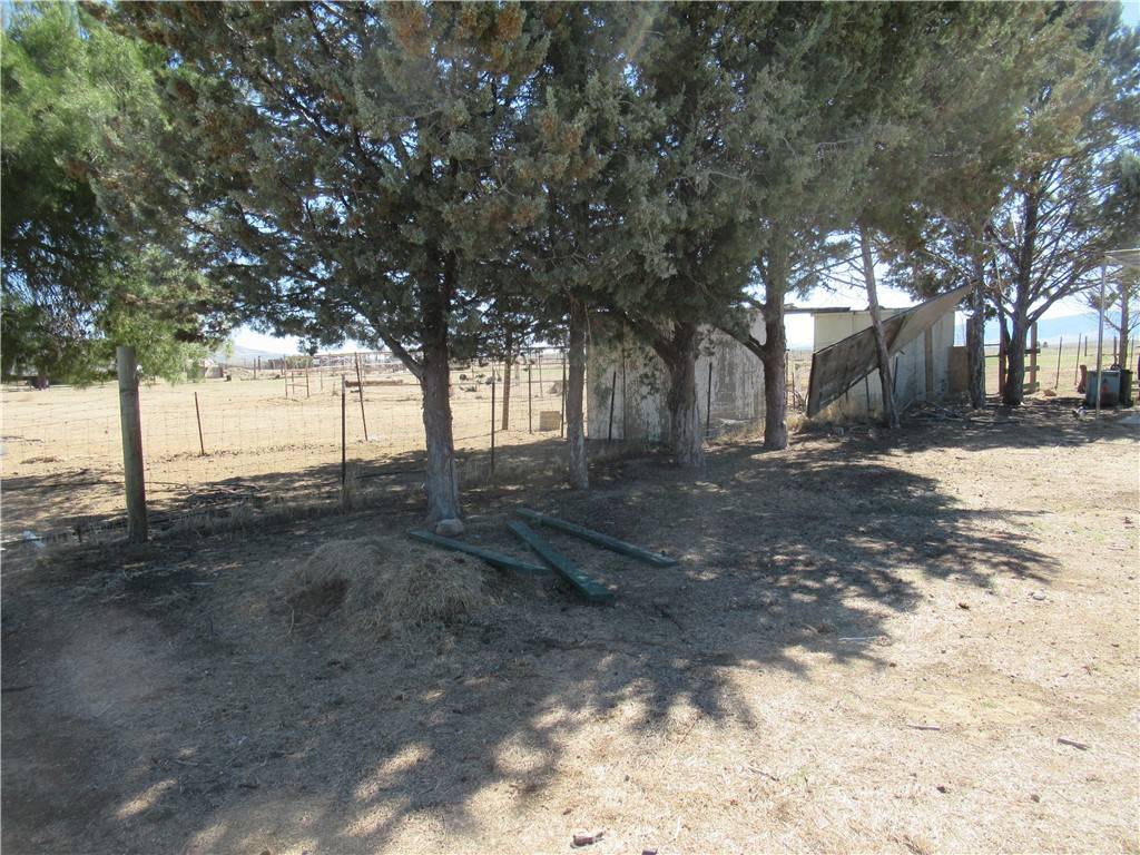 Santa Margarita, CA 93453,14155 Arrowbear TRL