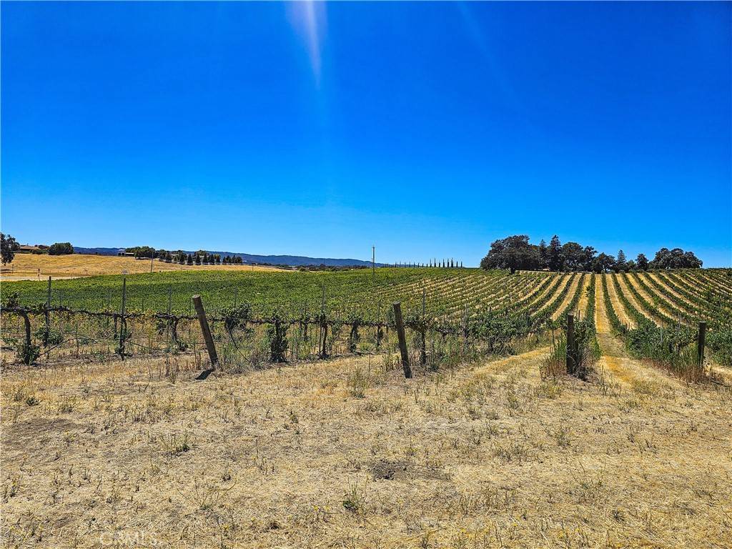 Paso Robles, CA 93446,34 Paint Horse PL