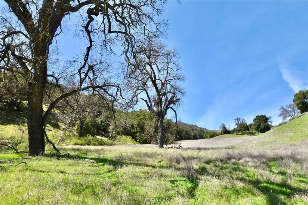 Bradley, CA 93426,74921 Copperhead RD