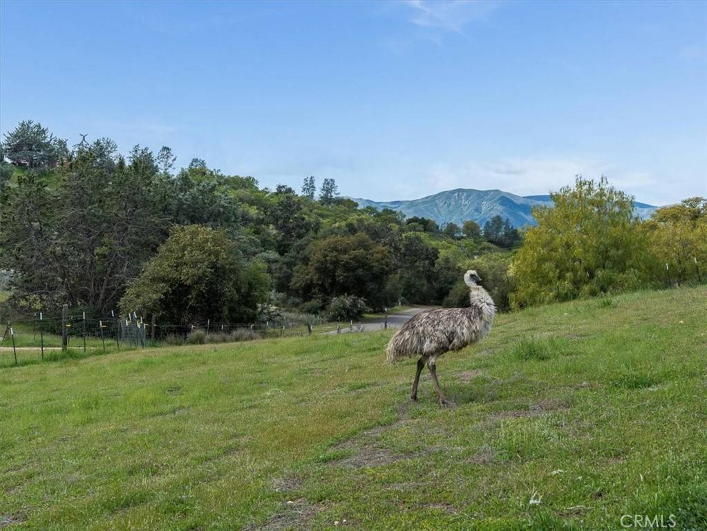 Bradley, CA 93426,76284 Bryson Hesperia RD