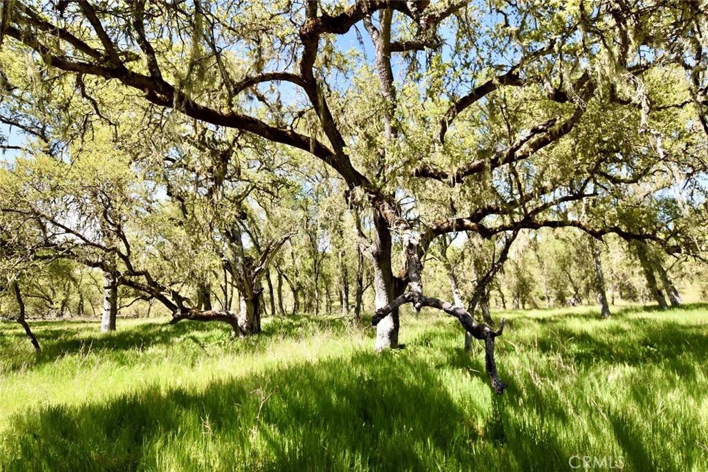 0 Gateway DR Paso Robles, CA 93446