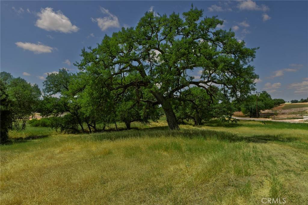 Paso Robles, CA 93446,7 Geneseo RD