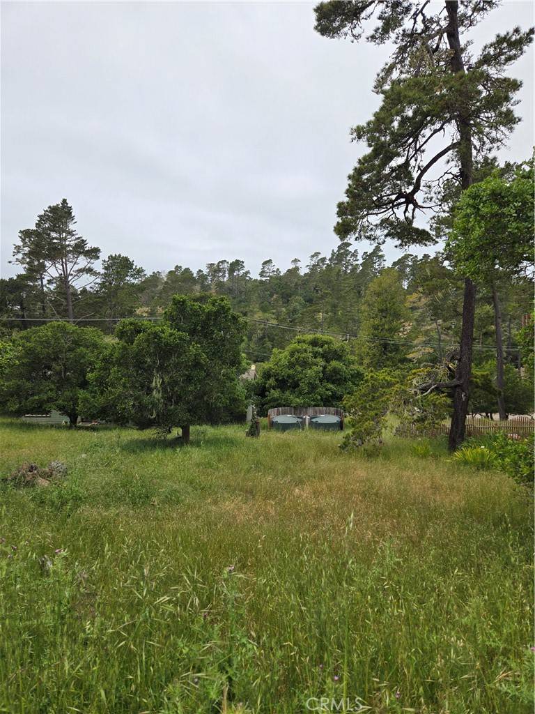 Cambria, CA 93428,0 Pierce AVE