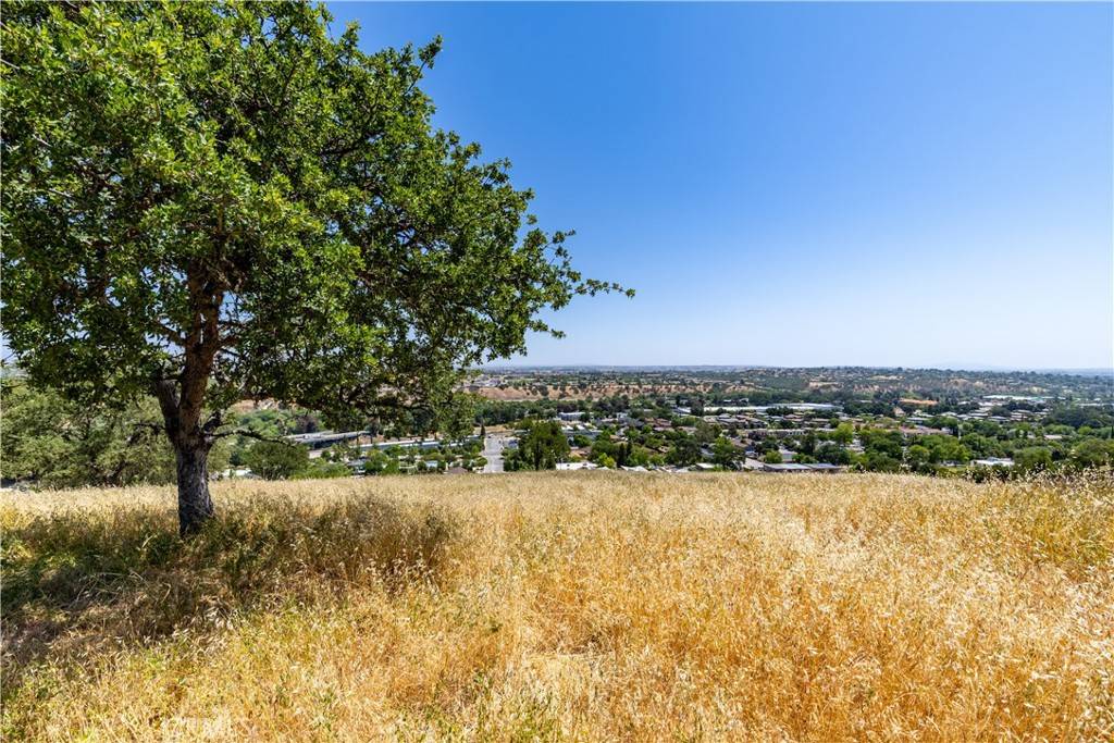 Paso Robles, CA 93446,437 Calle Alto ST